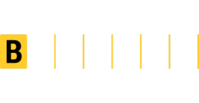 partners who work with Rooli