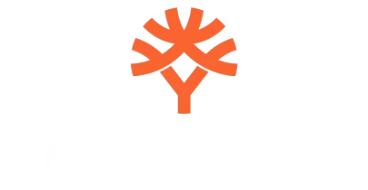 partners who work with Rooli